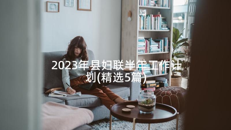 2023年县妇联半年工作计划(精选5篇)