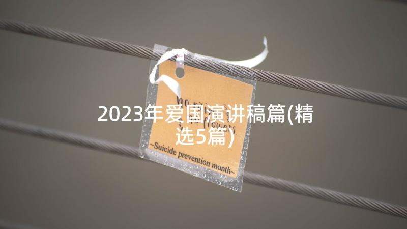 2023年爱国演讲稿篇(精选5篇)