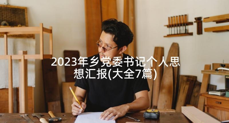 2023年乡党委书记个人思想汇报(大全7篇)