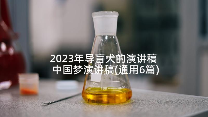 2023年导盲犬的演讲稿 中国梦演讲稿(通用6篇)