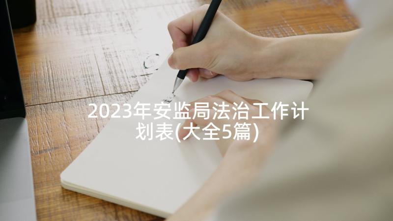 2023年安监局法治工作计划表(大全5篇)