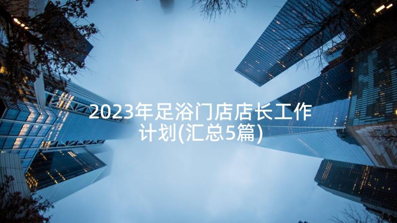 2023年足浴门店店长工作计划(汇总5篇)
