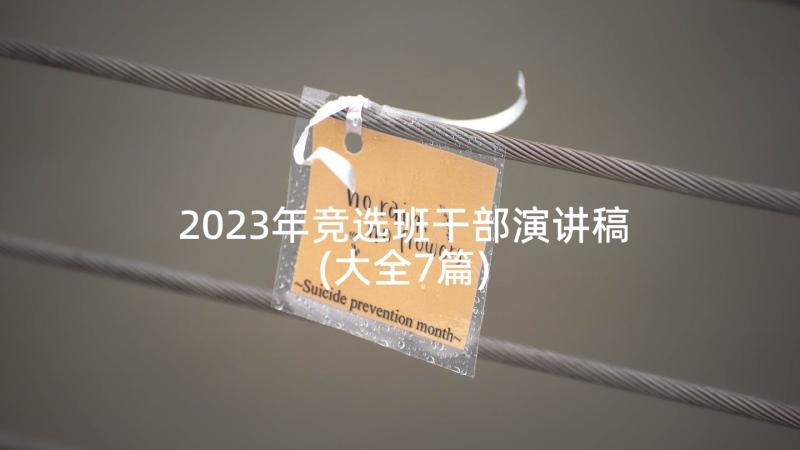 2023年竞选班干部演讲稿(大全7篇)