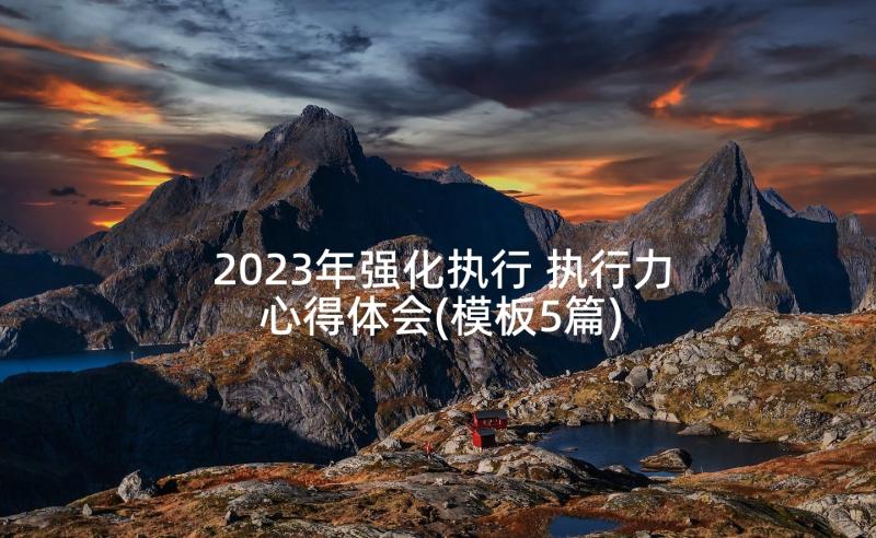 2023年强化执行 执行力心得体会(模板5篇)