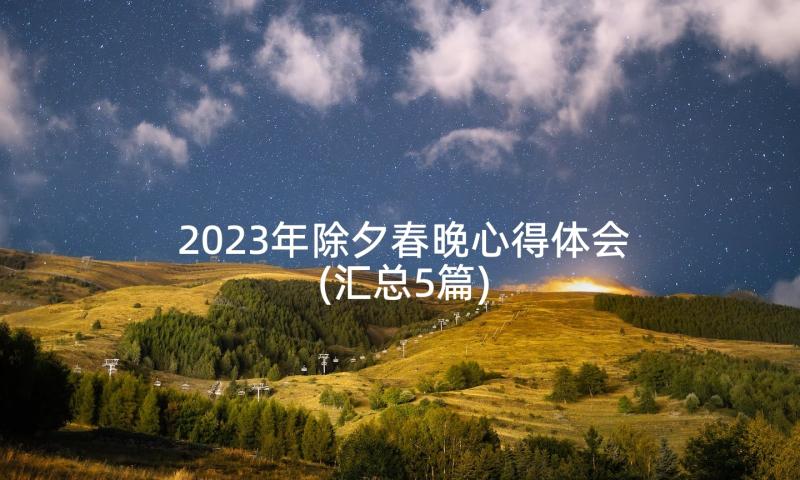2023年除夕春晚心得体会(汇总5篇)