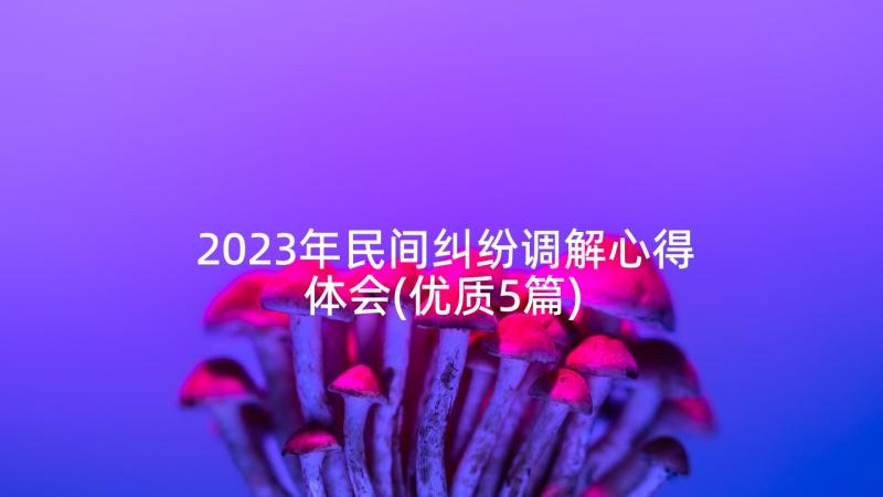2023年民间纠纷调解心得体会(优质5篇)