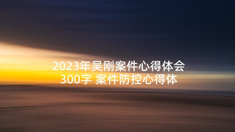 2023年吴刚案件心得体会300字 案件防控心得体会(优质5篇)