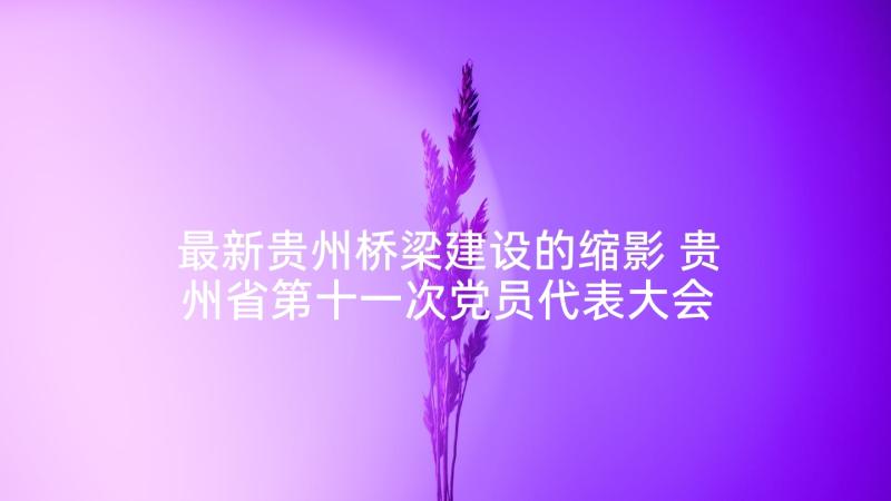 最新贵州桥梁建设的缩影 贵州省第十一次党员代表大会心得体会模版(模板9篇)