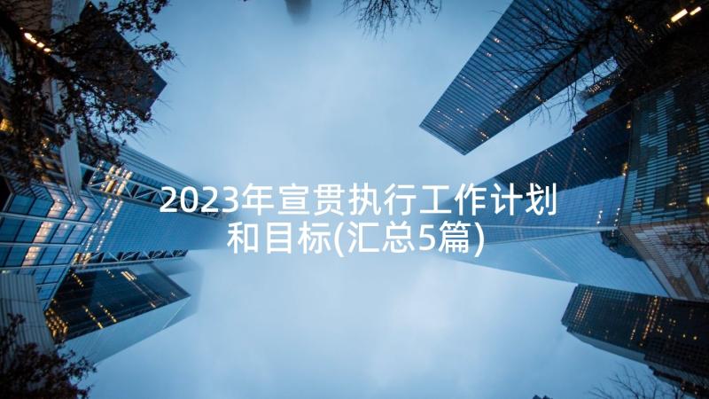 2023年宣贯执行工作计划和目标(汇总5篇)