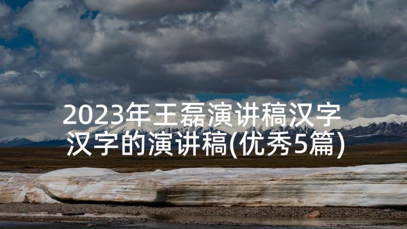 2023年王磊演讲稿汉字 汉字的演讲稿(优秀5篇)