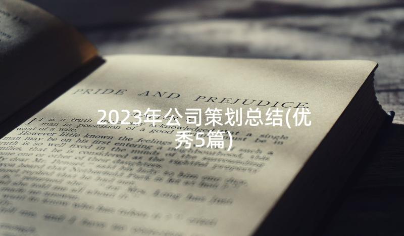 2023年公司策划总结(优秀5篇)