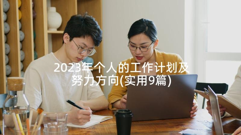 2023年个人的工作计划及努力方向(实用9篇)
