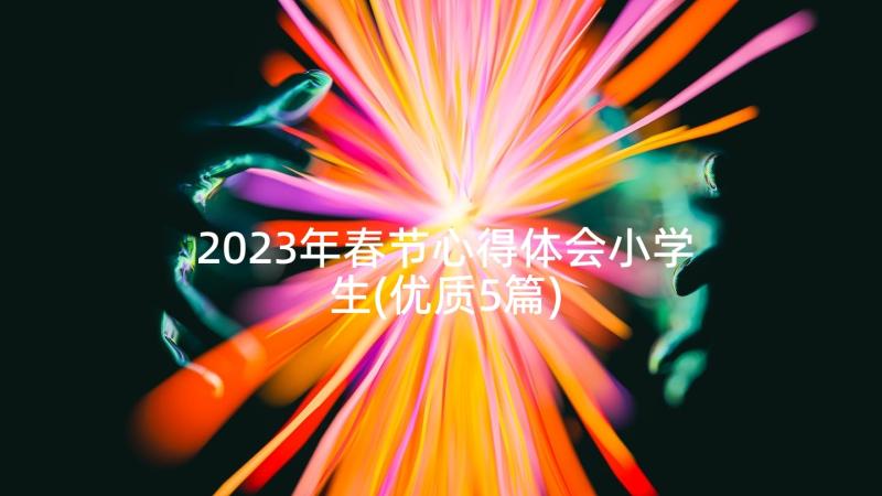 2023年春节心得体会小学生(优质5篇)