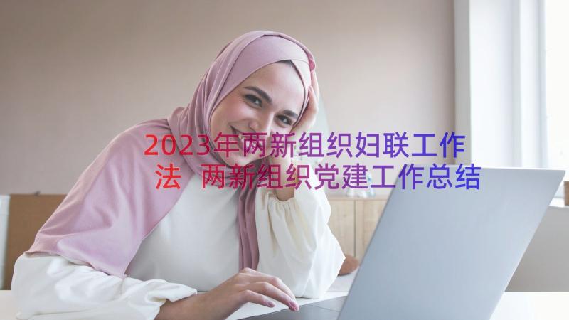 2023年两新组织妇联工作法 两新组织党建工作总结(通用8篇)
