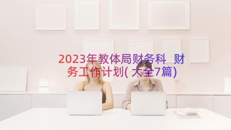 2023年教体局财务科 财务工作计划(大全7篇)
