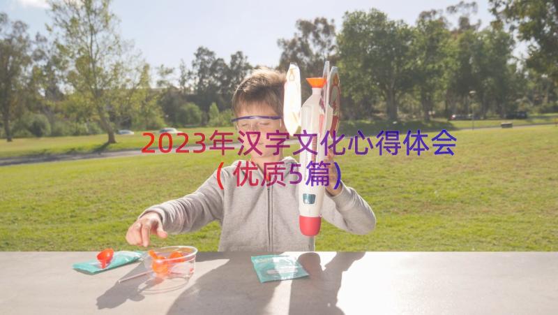 2023年汉字文化心得体会(优质5篇)