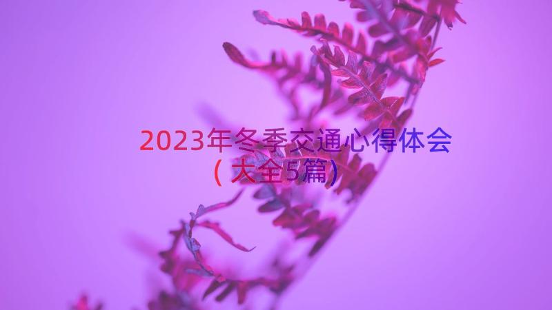 2023年冬季交通心得体会(大全5篇)