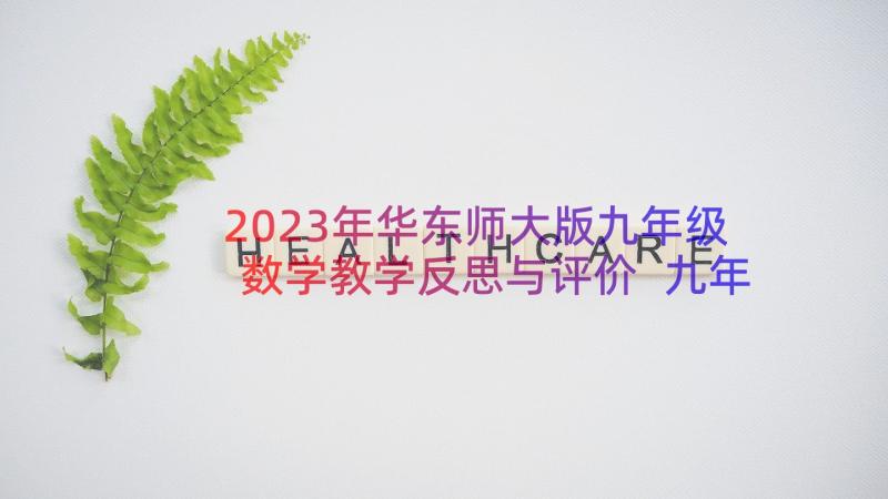 2023年华东师大版九年级数学教学反思与评价 九年级数学教学反思(精选5篇)
