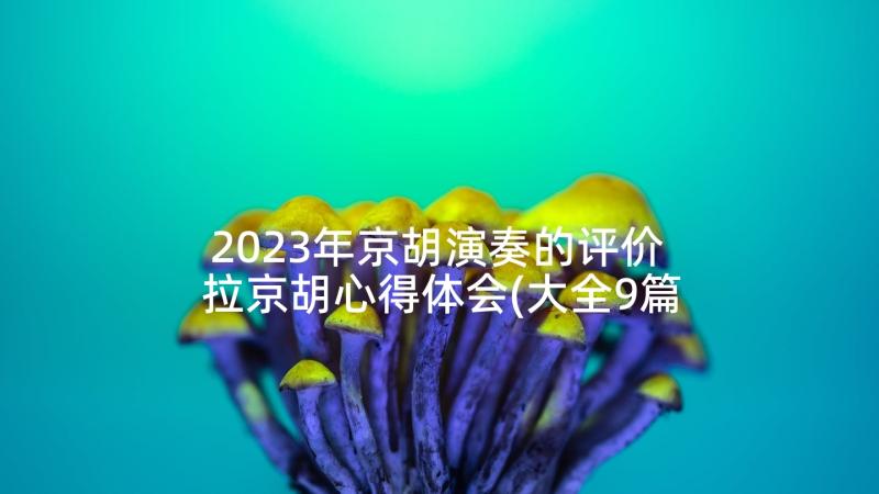 2023年京胡演奏的评价 拉京胡心得体会(大全9篇)