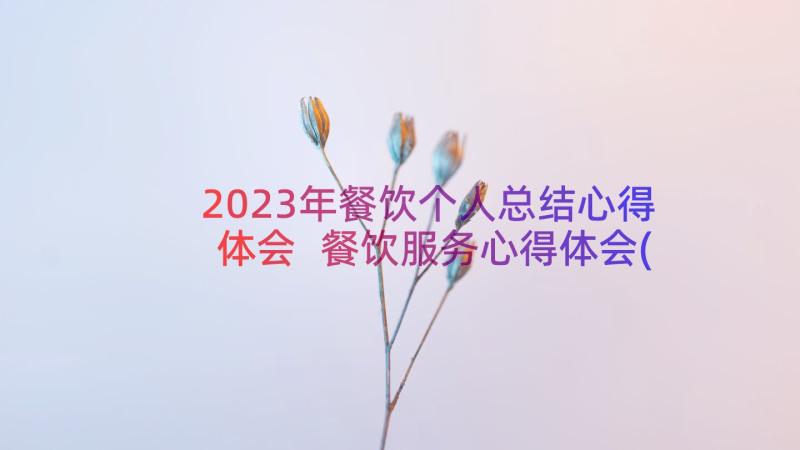 2023年餐饮个人总结心得体会 餐饮服务心得体会(模板6篇)