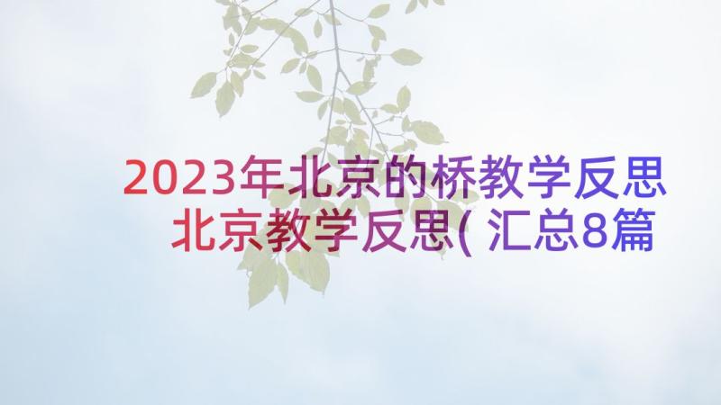 2023年北京的桥教学反思 北京教学反思(汇总8篇)