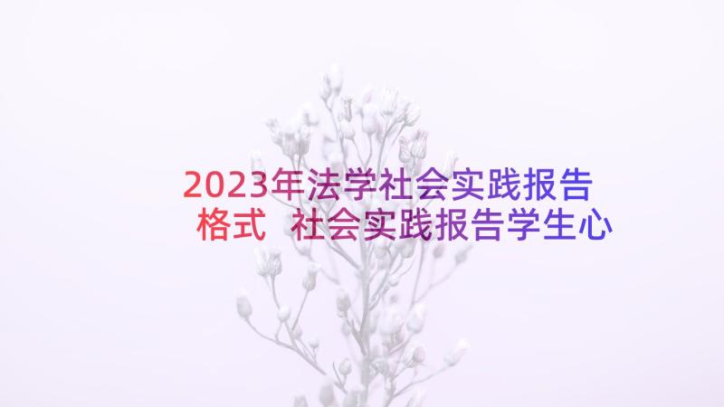 2023年法学社会实践报告格式 社会实践报告学生心得体会(通用7篇)
