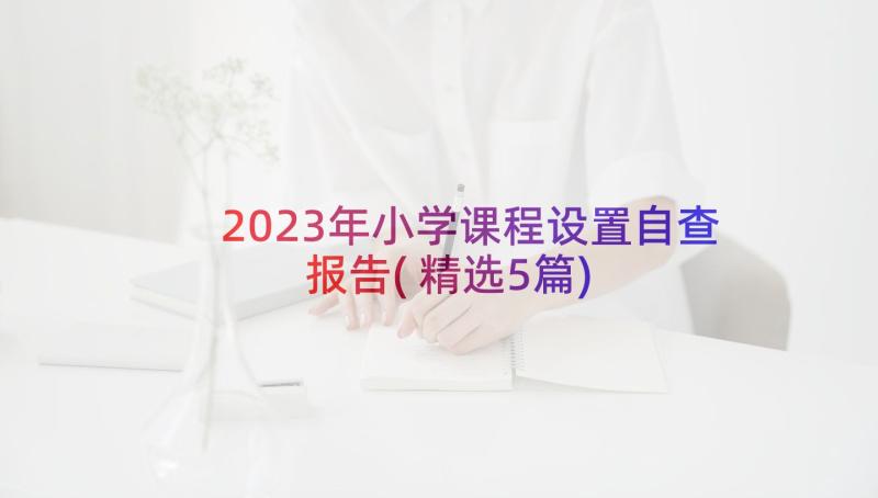 2023年小学课程设置自查报告(精选5篇)