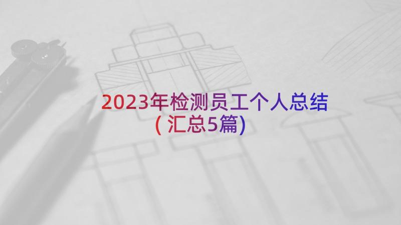 2023年检测员工个人总结(汇总5篇)