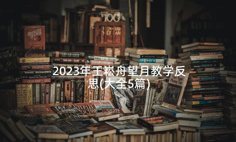 2023年王崧舟望月教学反思(大全5篇)