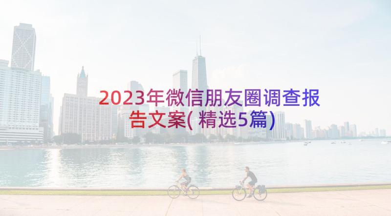2023年微信朋友圈调查报告文案(精选5篇)