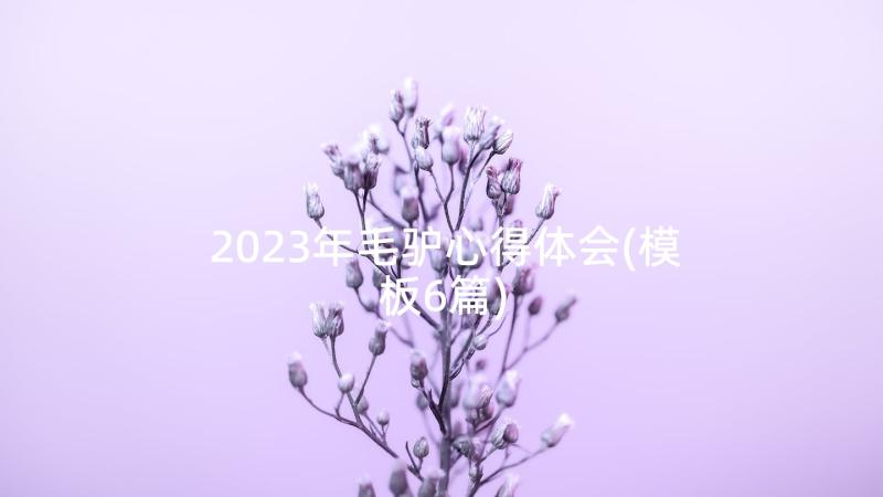 2023年毛驴心得体会(模板6篇)