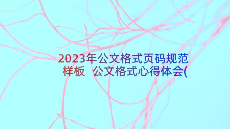 2023年公文格式页码规范样板 公文格式心得体会(精选5篇)