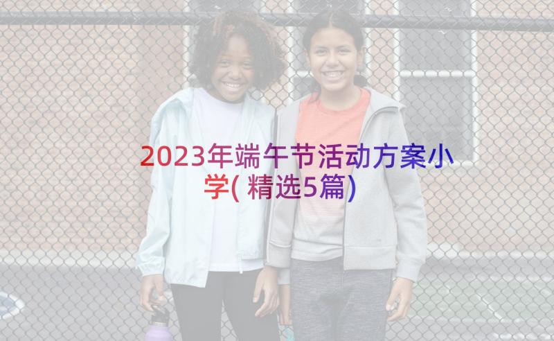 2023年端午节活动方案小学(精选5篇)