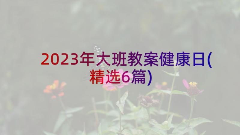 2023年大班教案健康日(精选6篇)