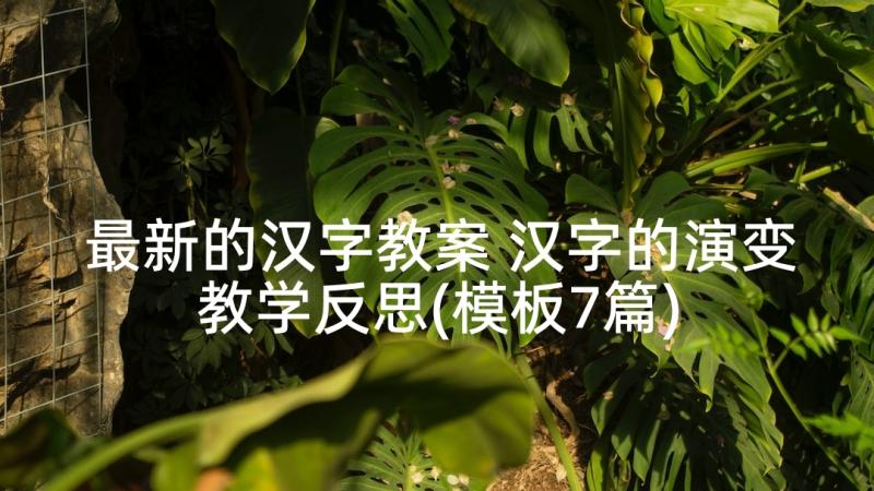 最新的汉字教案 汉字的演变教学反思(模板7篇)