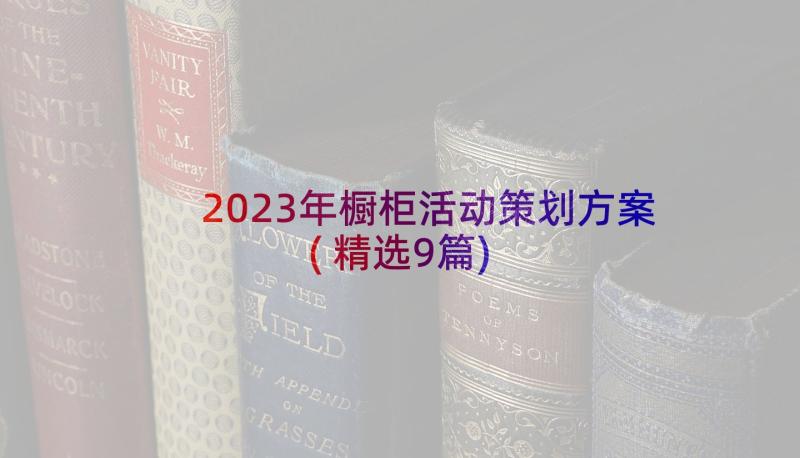 2023年橱柜活动策划方案(精选9篇)