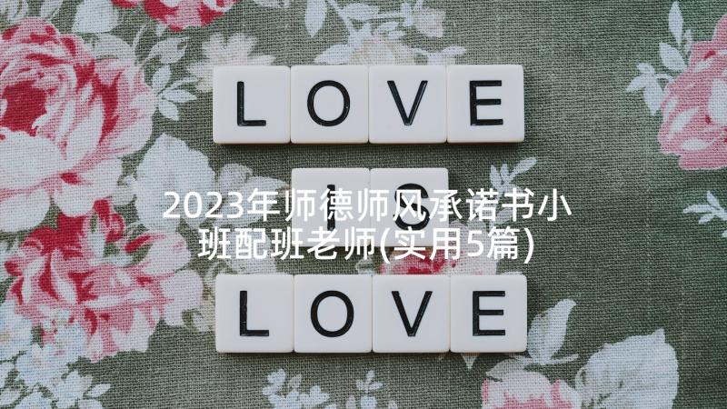 2023年师德师风承诺书小班配班老师(实用5篇)