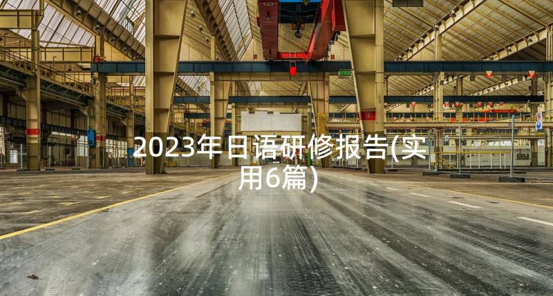 2023年日语研修报告(实用6篇)