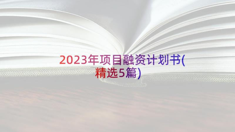 2023年项目融资计划书(精选5篇)