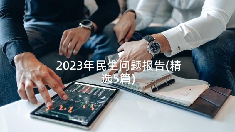2023年民生问题报告(精选5篇)