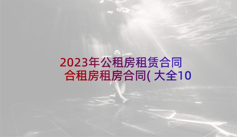 2023年公租房租赁合同 合租房租房合同(大全10篇)