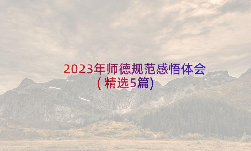2023年师德规范感悟体会(精选5篇)