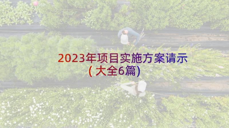 2023年项目实施方案请示(大全6篇)