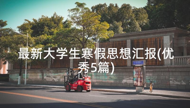 最新大学生寒假思想汇报(优秀5篇)