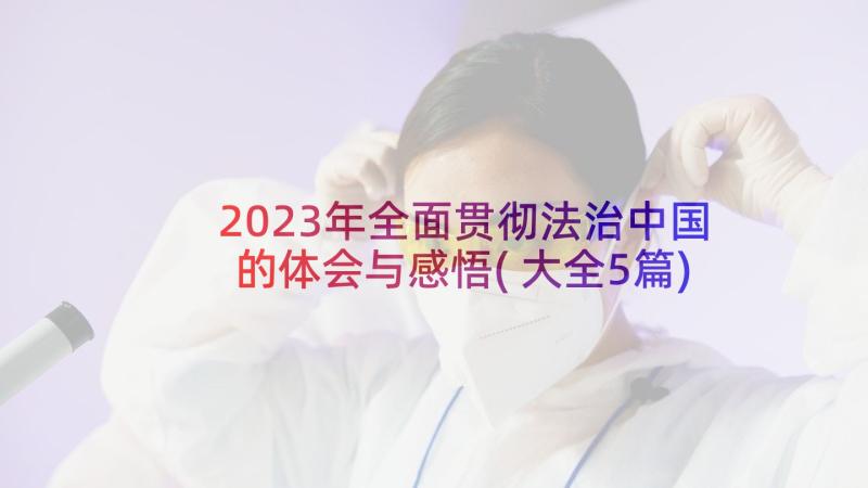 2023年全面贯彻法治中国的体会与感悟(大全5篇)
