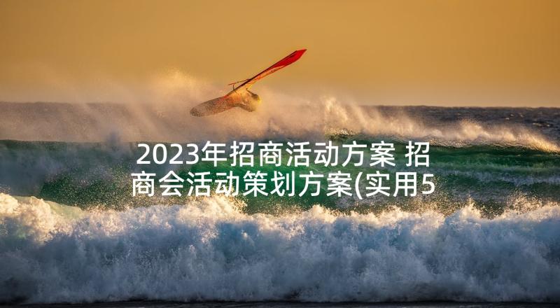 2023年招商活动方案 招商会活动策划方案(实用5篇)