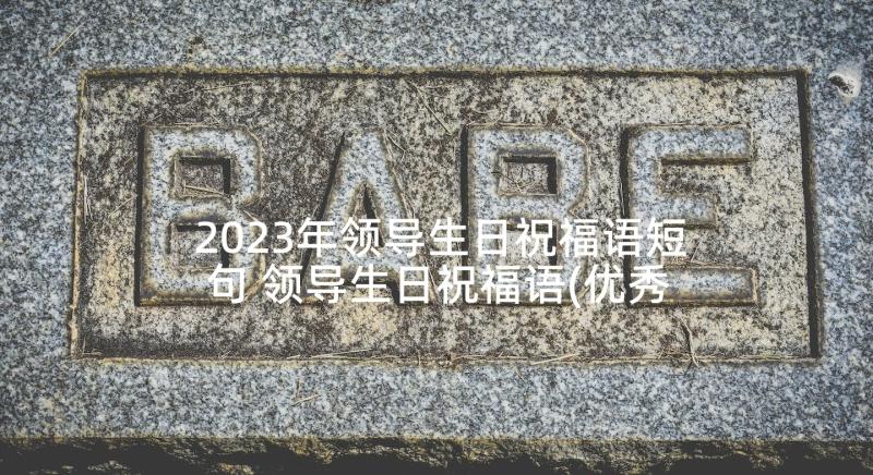 2023年领导生日祝福语短句 领导生日祝福语(优秀8篇)