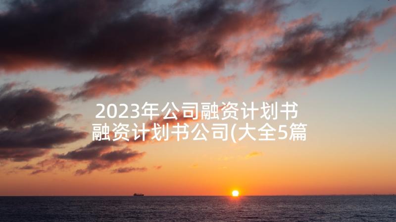 2023年公司融资计划书 融资计划书公司(大全5篇)