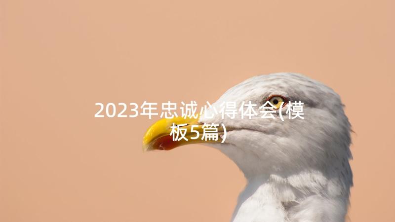 2023年忠诚心得体会(模板5篇)