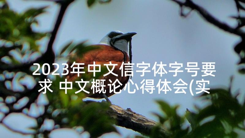 2023年中文信字体字号要求 中文概论心得体会(实用6篇)